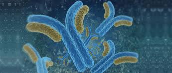 Detección de Enfermedades Autoinmunes (Pruebas Realizadas por el Alegria)